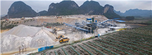 印尼对中国矿山设备的需  